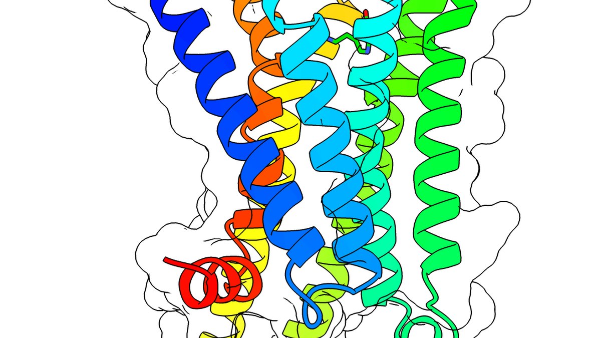 Receptor–ligand molecular structure illustrating multi-receptor agonist balance — a QuintupleAgonist feature by Panacea Bio Chem and Bogdan Dicoias